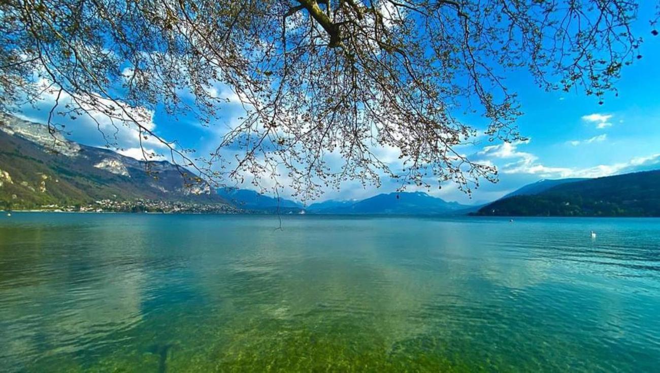 L'Echappee Du 36 - 4 Chambres Dans Le Triangle D'Or A 100M Du Lac, Parking Gratuit Annecy Exterior photo
